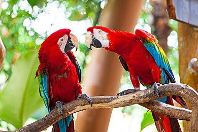 深海主题动作游戏《冰海孤翼》试玩Demo现已推出